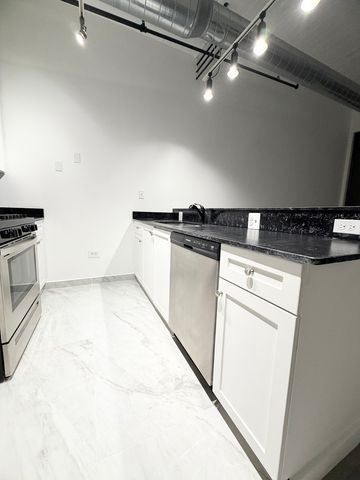 1550 S Blue Island Avenue 1107, Chicago, IL 60608