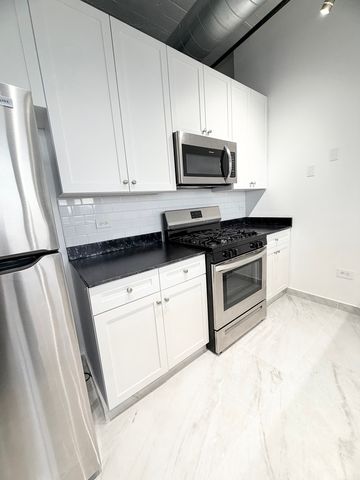 1550 S Blue Island Avenue 1107, Chicago, IL 60608