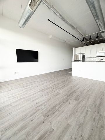 1550 S Blue Island Avenue 1107, Chicago, IL 60608