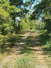 17454 Fm 542, Oakwood, TX 75855