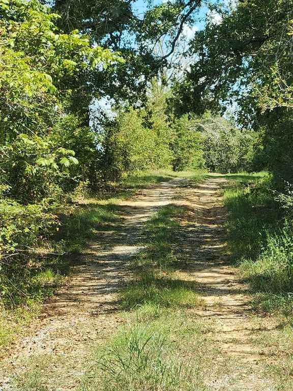 17454 Fm 542, Oakwood, TX 75855