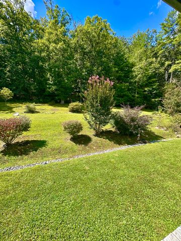 4801 Nicelytown RD, Clifton Forge, VA 24422