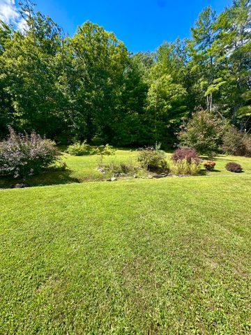 4801 Nicelytown RD, Clifton Forge, VA 24422