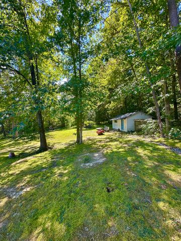 4801 Nicelytown RD, Clifton Forge, VA 24422