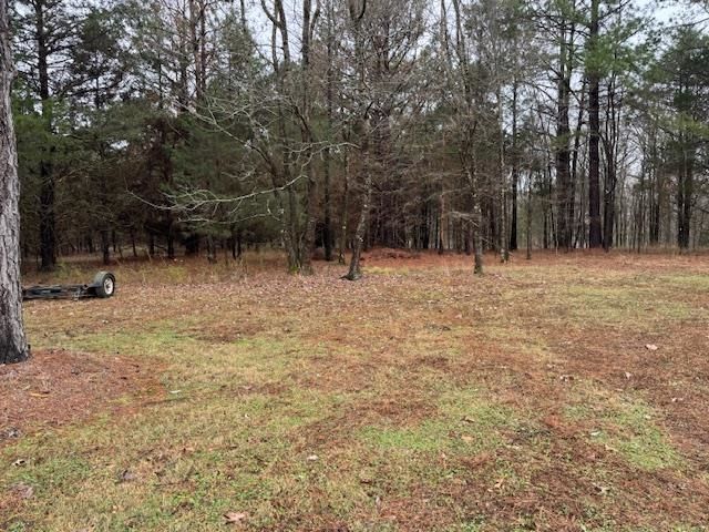 120 WELCOME USSERY DR, Saulsbury, TN 38067