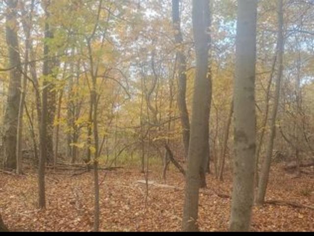 224 Hickory Hill Lane, Newburgh, NY 12550