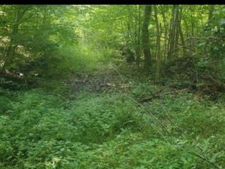 224 Hickory Hill Lane, Newburgh, NY 12550