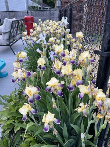 189 College Street, Poultney, VT 05764