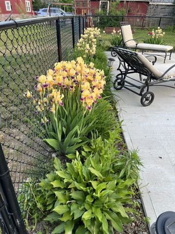 189 College Street, Poultney, VT 05764