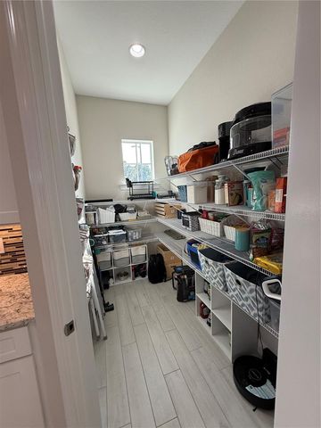 303 NOLANE LANE, Polk City, FL 33868