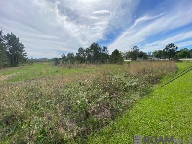 32816 La Hwy 16, Denham Springs, LA 70706