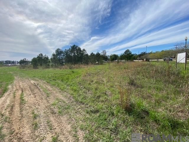 32816 La Hwy 16, Denham Springs, LA 70706