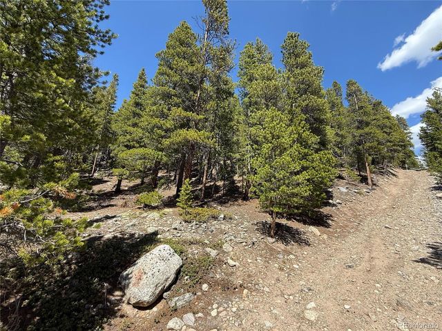 312 Vista Road, Idaho Springs, CO 80452