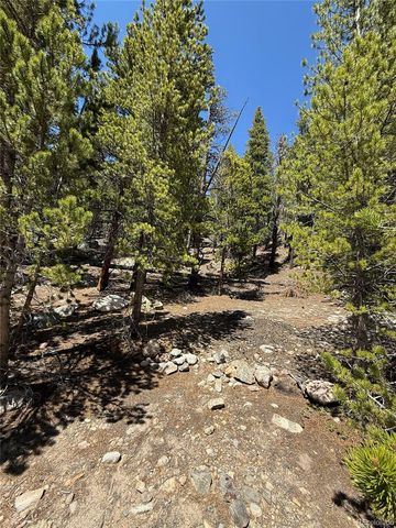 312 Vista Road, Idaho Springs, CO 80452