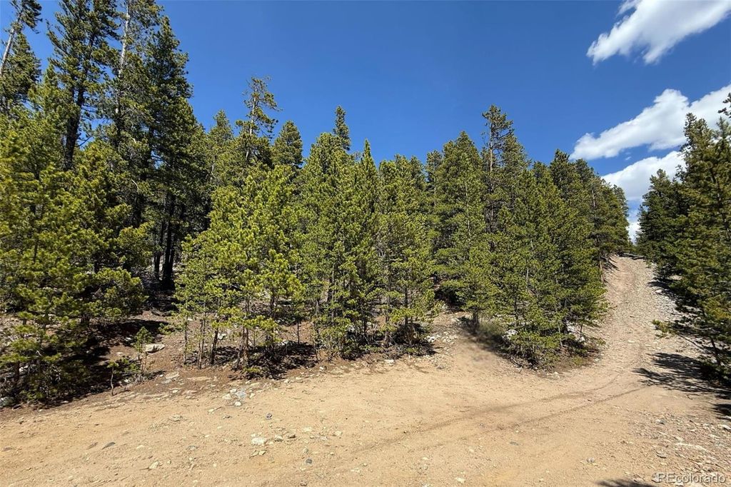 312 Vista Road, Idaho Springs, CO 80452