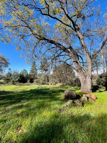 21875 Manton School Road, Manton, CA 96059
