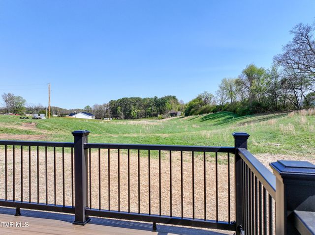 300 Gibson Loop, Afton, TN 37616