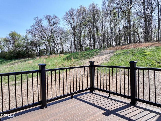 300 Gibson Loop, Afton, TN 37616