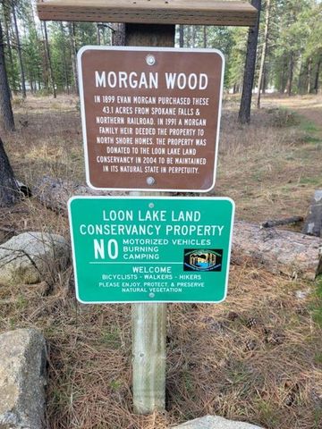 40540 Lakeside Rd, Loon Lake, WA 99148