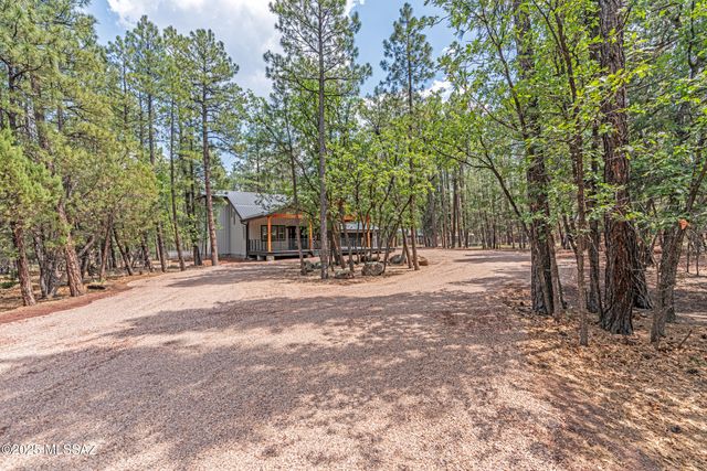 1787 S Hart Lake Lane, Lakeside, AZ 85929