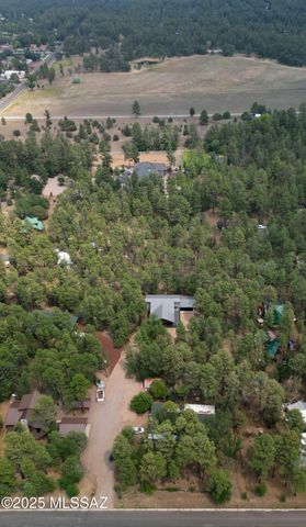 1787 S Hart Lake Lane, Lakeside, AZ 85929