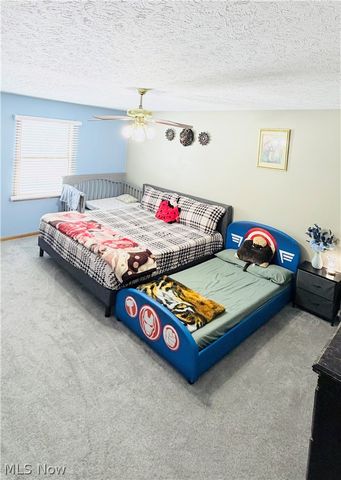 9 Willow Way, Canfield, OH 44406