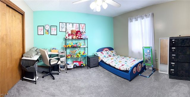 9 Willow Way, Canfield, OH 44406