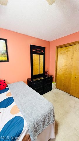 9 Willow Way, Canfield, OH 44406