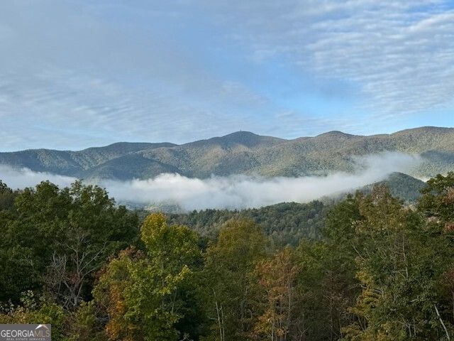 488 Mill Ridge Road, Hiawassee, GA 30546