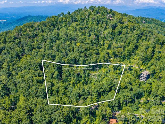 36 Cary Lane, Asheville, NC 28804