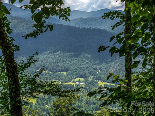 36 Cary Lane, Asheville, NC 28804