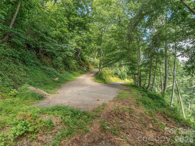 36 Cary Lane, Asheville, NC 28804