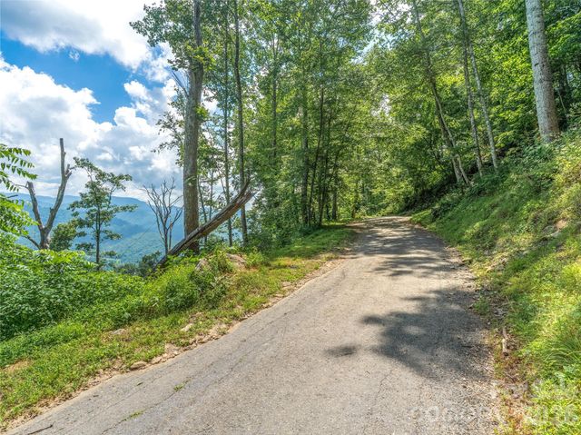 36 Cary Lane, Asheville, NC 28804