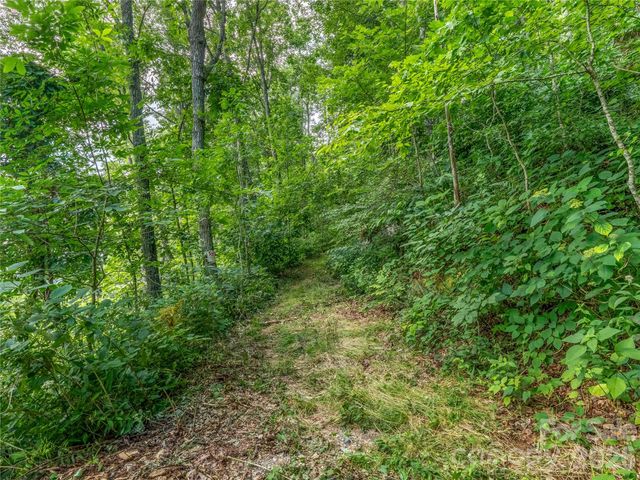 36 Cary Lane, Asheville, NC 28804