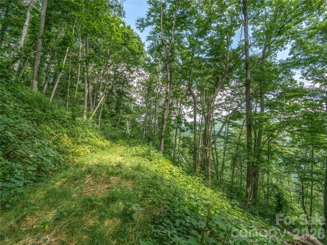 36 Cary Lane, Asheville, NC 28804