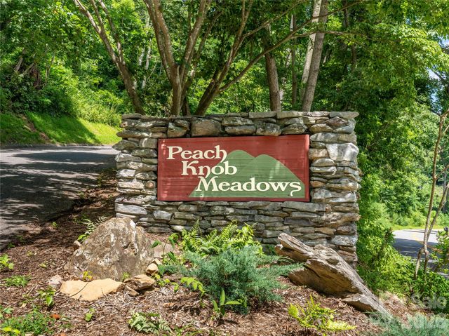 36 Cary Lane, Asheville, NC 28804