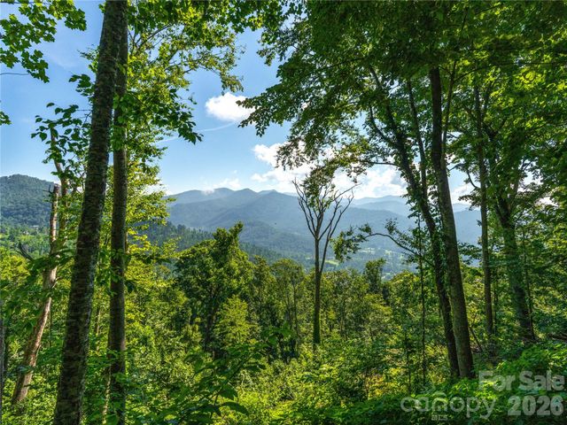 36 Cary Lane, Asheville, NC 28804