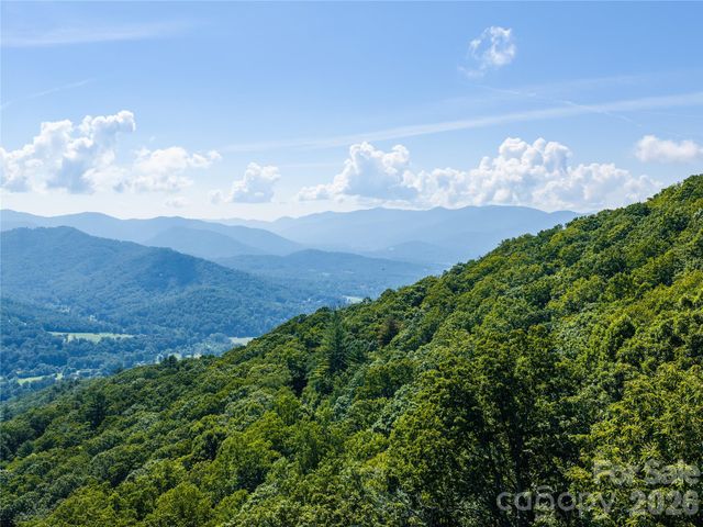 36 Cary Lane, Asheville, NC 28804