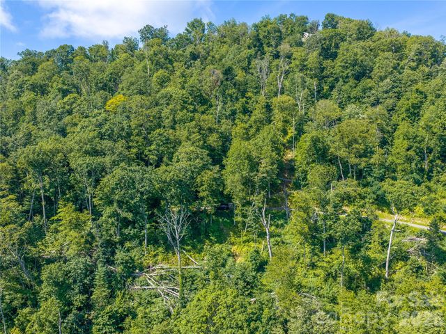 36 Cary Lane, Asheville, NC 28804