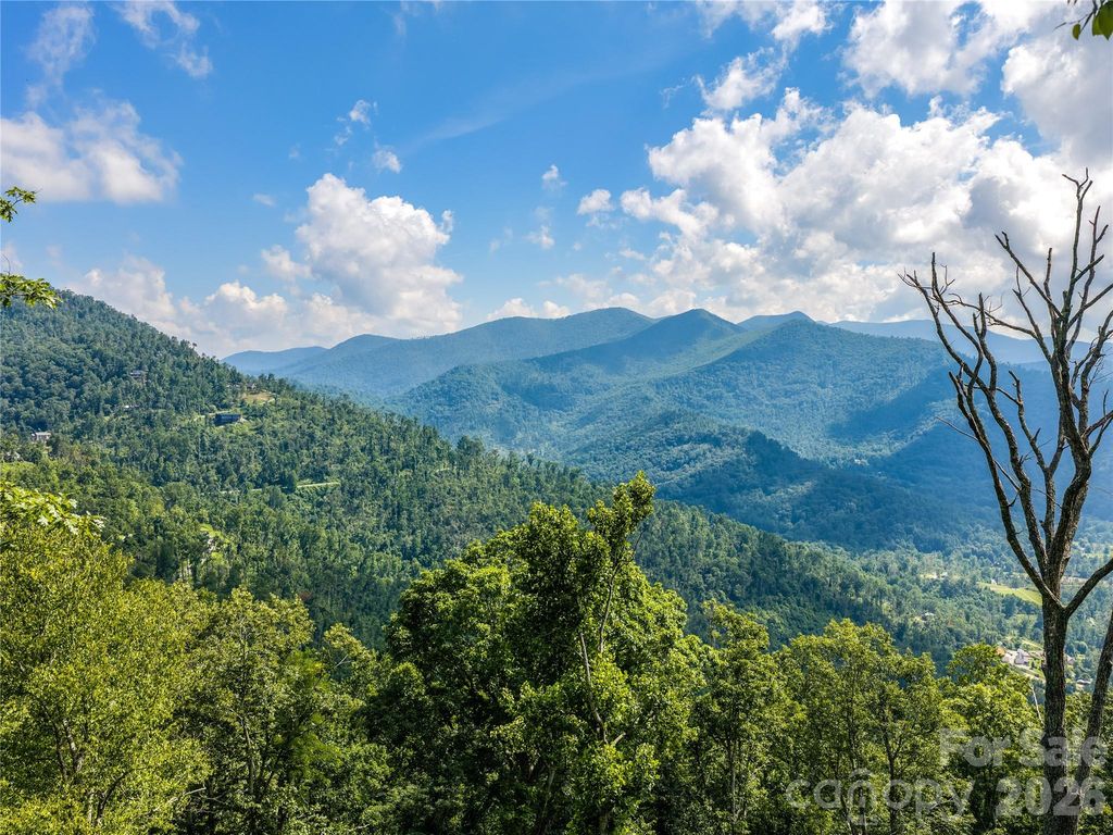 36 Cary Lane, Asheville, NC 28804