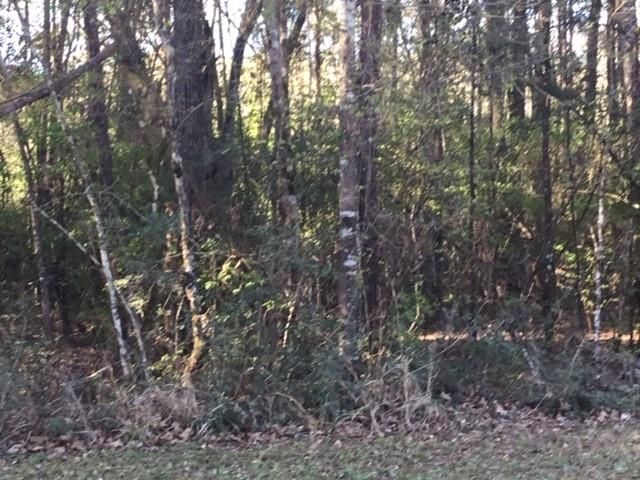 310 Johnson Drive, Livingston, TX 77351