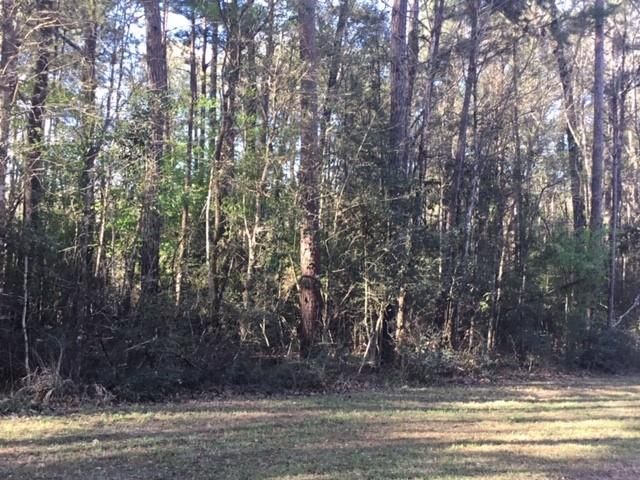 310 Johnson Drive, Livingston, TX 77351