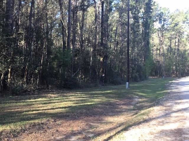 310 Johnson Drive, Livingston, TX 77351