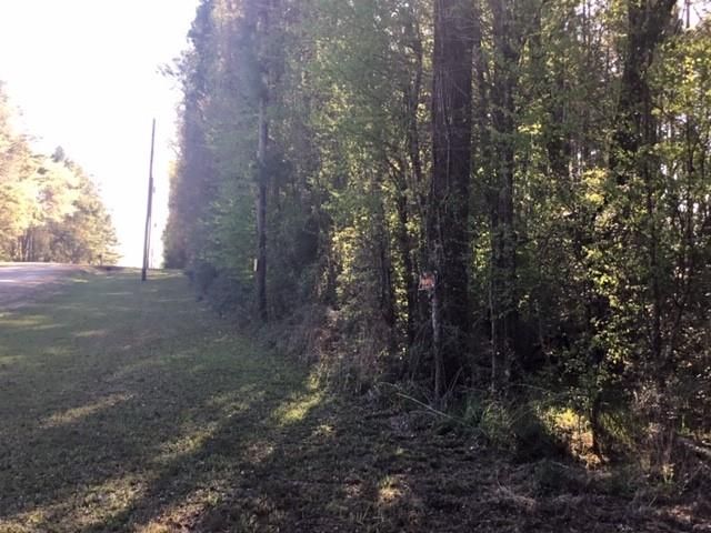 310 Johnson Drive, Livingston, TX 77351