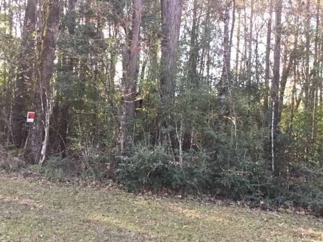310 Johnson Drive, Livingston, TX 77351