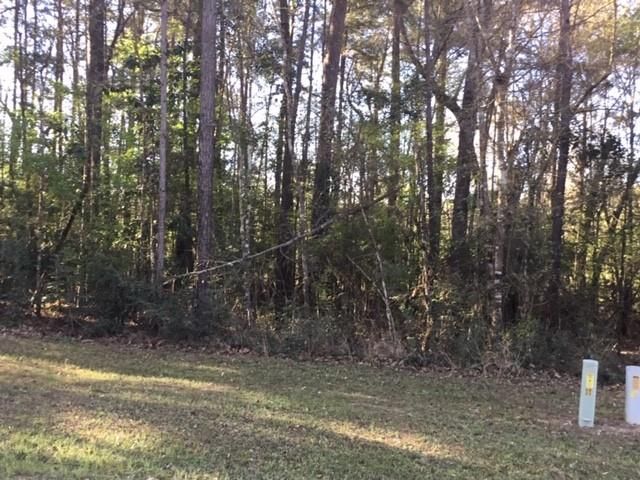 310 Johnson Drive, Livingston, TX 77351