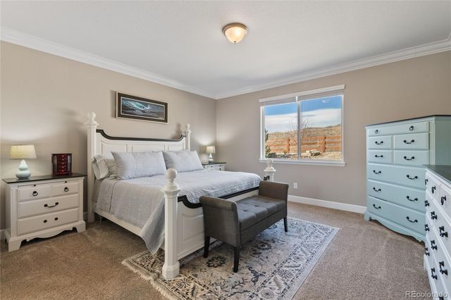 6655 Mentha Drive, Castle Rock, CO 80108