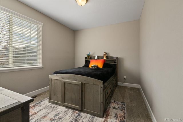 6655 Mentha Drive, Castle Rock, CO 80108