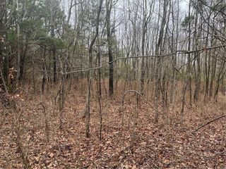 Lot 17 - Block 1 Oniell Circle, Bella Vista, AR 72715