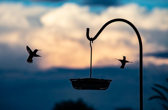 2409 Desert View Road NE, Rio Rancho, NM 87144